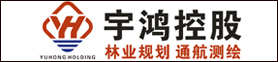 海南宇鸿控股有限公司